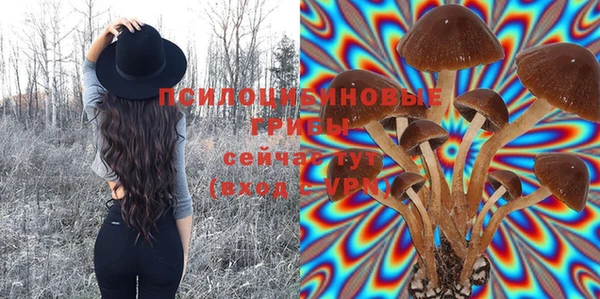 мет Балахна
