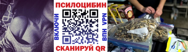 дарнет шоп  mega сайт  Галлюциногенные грибы Cubensis  мориарти официальный сайт  Кудымкар 